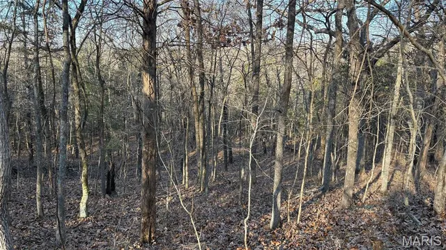 $180,000 | 11890 Murphysboro Road, Campbell Hill, IL 62916