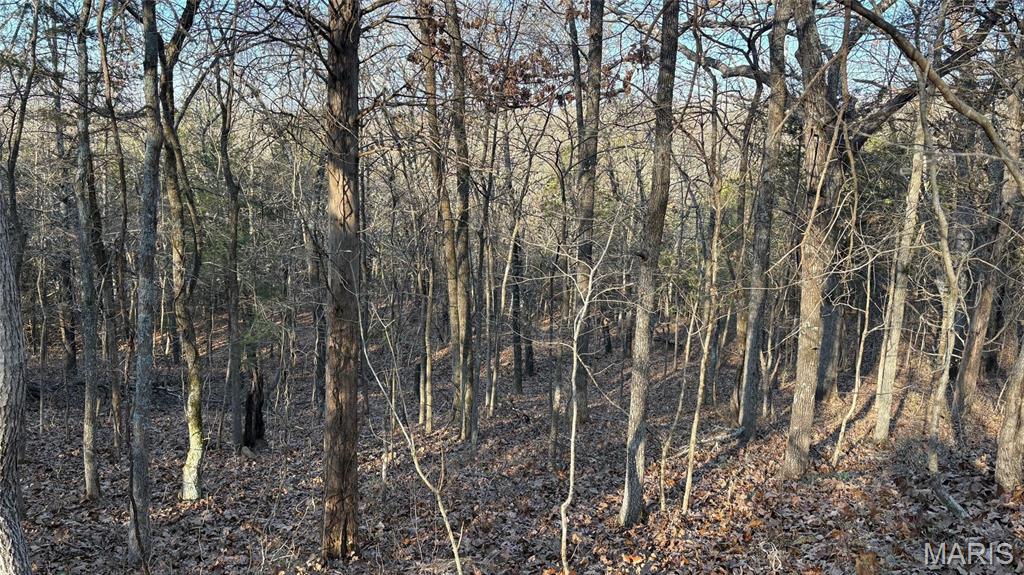 11890 Murphysboro Road Campbell Hill, IL 62916 - Photo 38 of 46