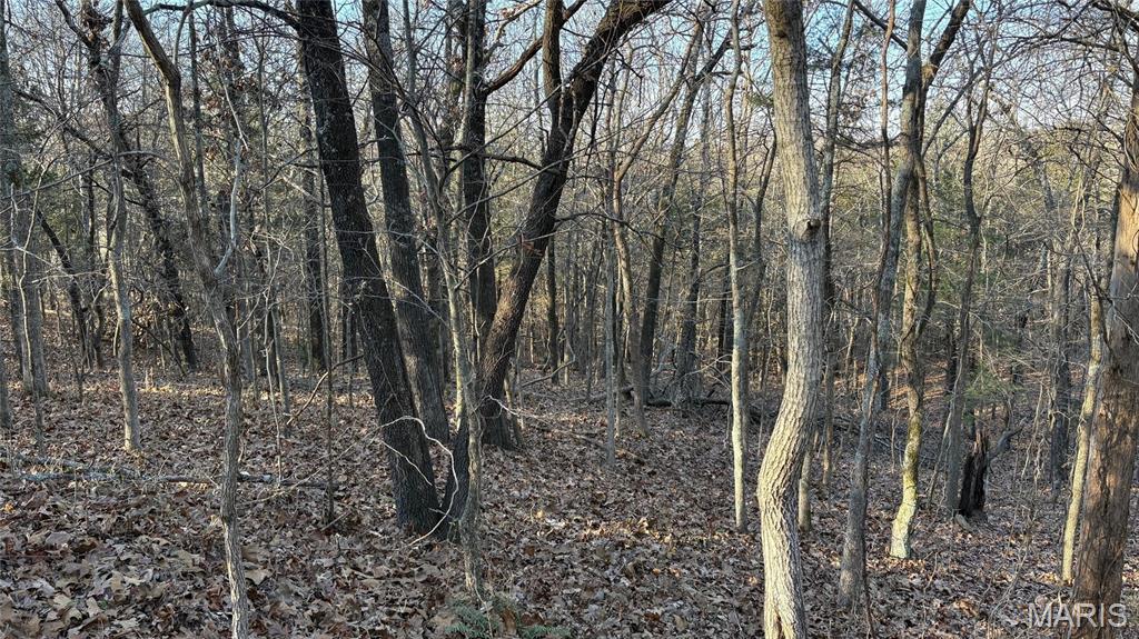 11890 Murphysboro Road Campbell Hill, IL 62916 - Photo 39 of 46