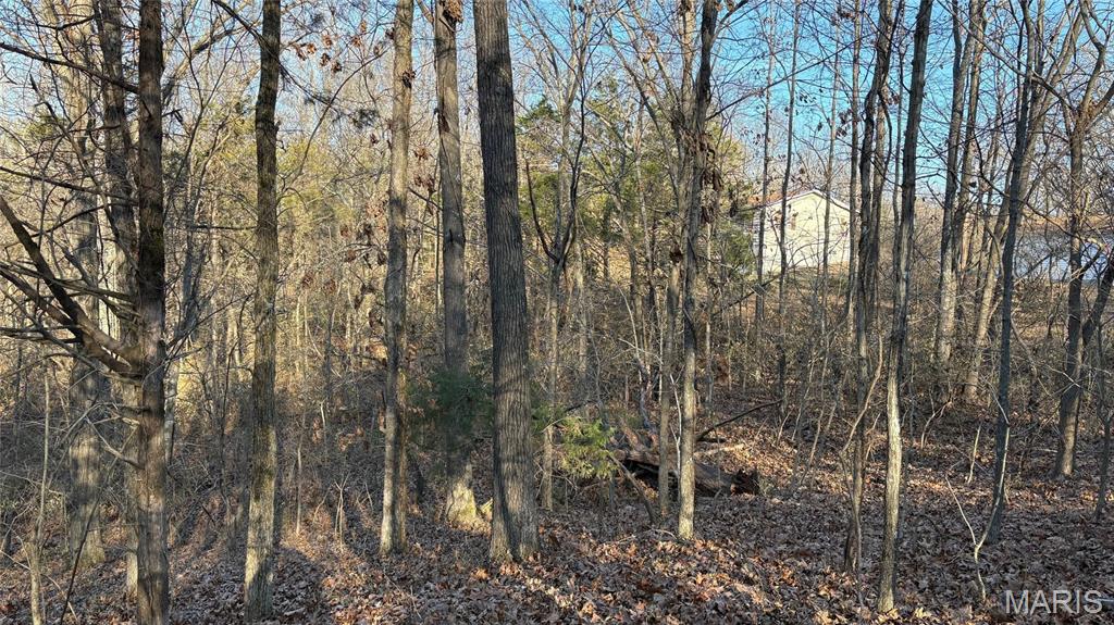 11890 Murphysboro Road Campbell Hill, IL 62916 - Photo 41 of 46