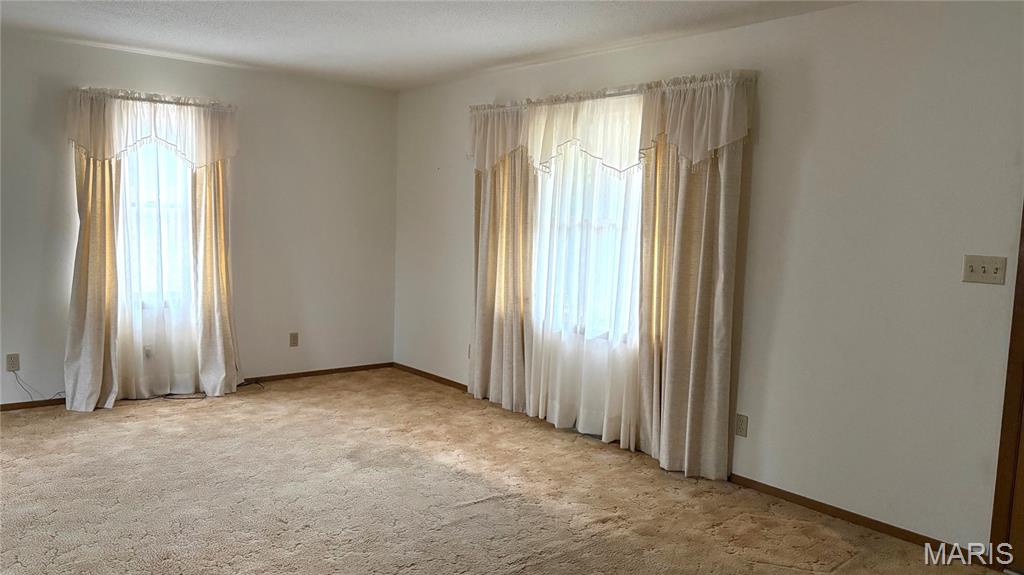 11890 Murphysboro Road Campbell Hill, IL 62916 - Photo 7 of 46