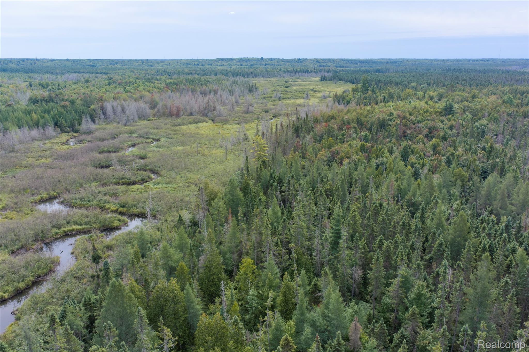 23 Camp 23 Road Germfask, MI 49836 - Photo 15 of 18 15.jpg