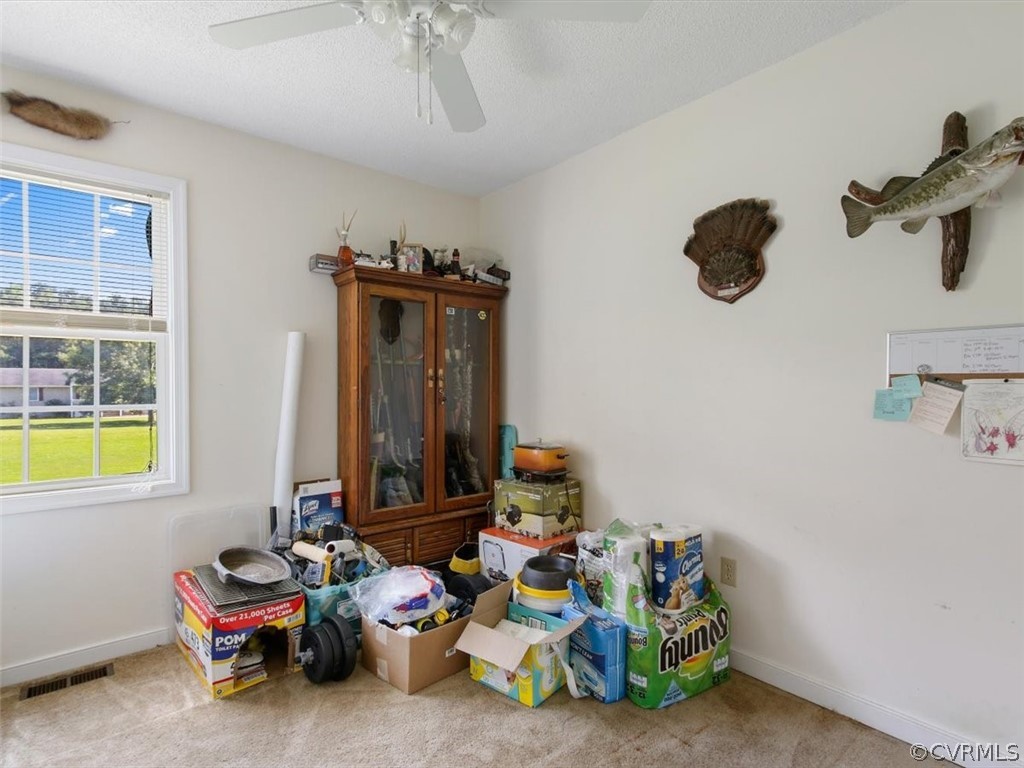 16559 Jolly Road Disputanta, VA 23842 - Photo 11 of 22