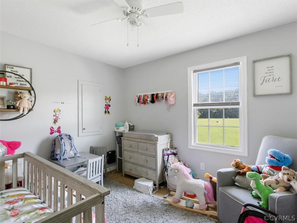 16559 Jolly Road Disputanta, VA 23842 - Photo 13 of 22