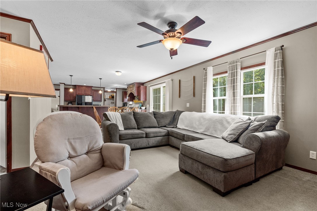 1467 Notman Road Deerfield, OH 44411 - Photo 13 of 37 Living room featuring ornamental molding, plenty of natural light, a ceiling fan, and light colored carpet