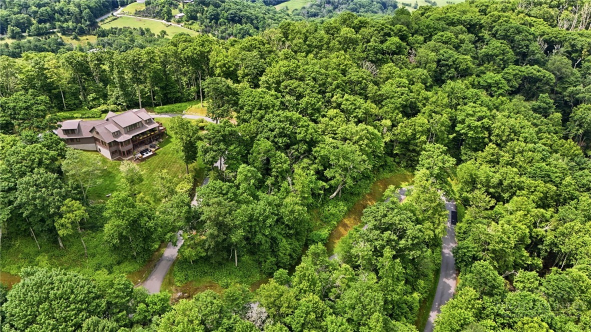 7 Finally Way Banner Elk, NC 28604 - Photo 1 of 18