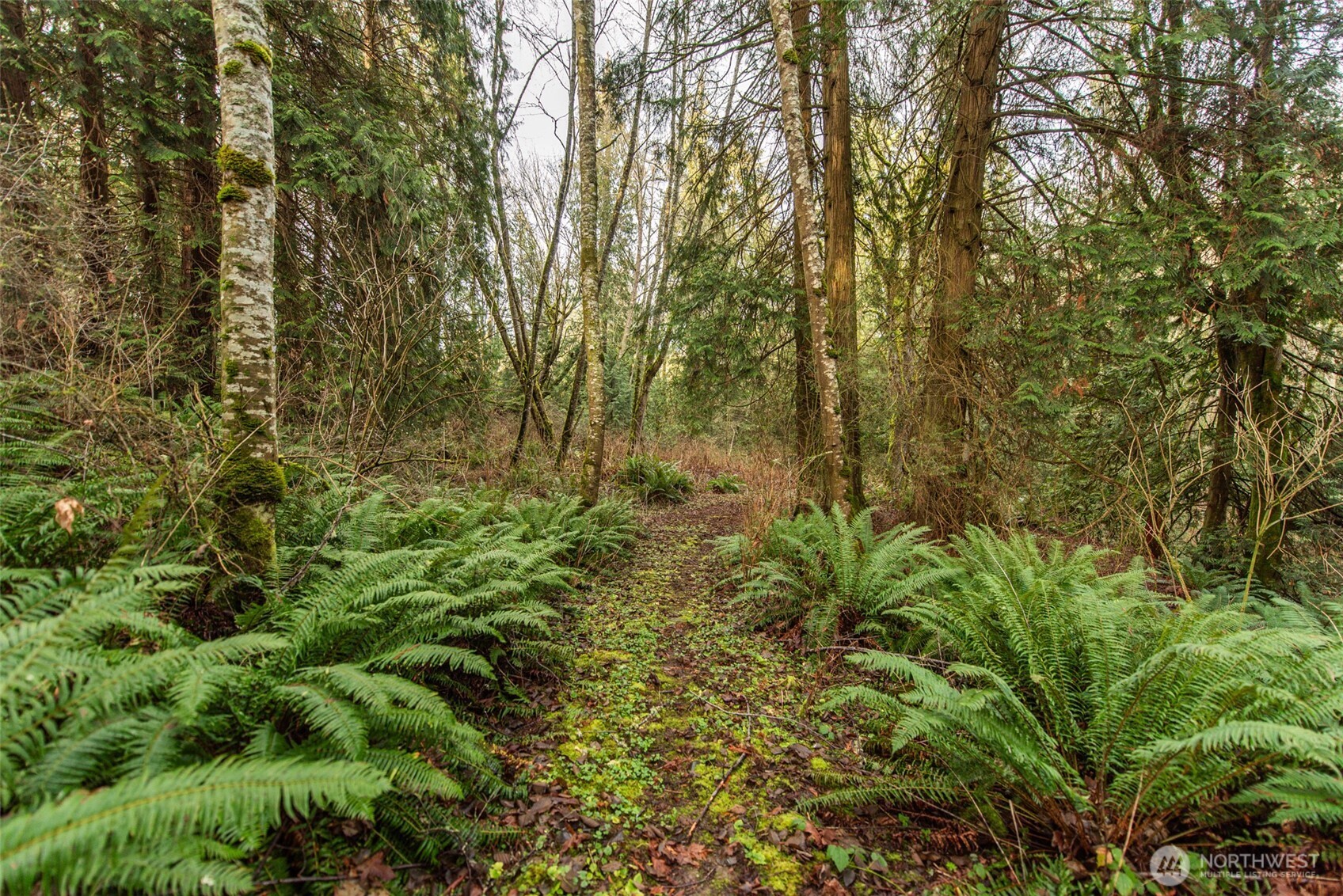 211 South Barr Road Port Angeles, WA 98362 - Photo 38 of 38