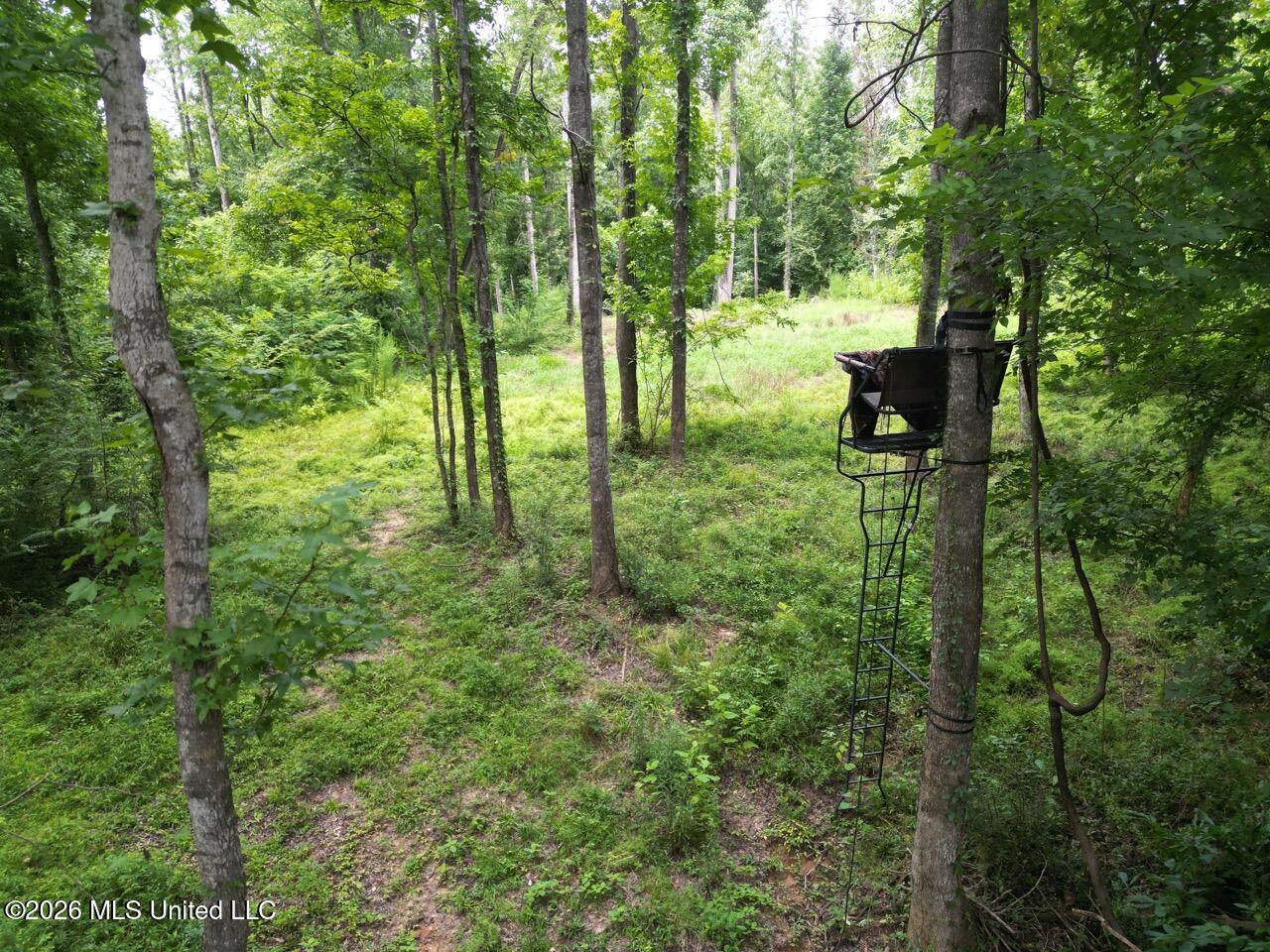 23 Pheasant Road Roxie, MS 39661 - Photo 12 of 31 DJI_0464 Large