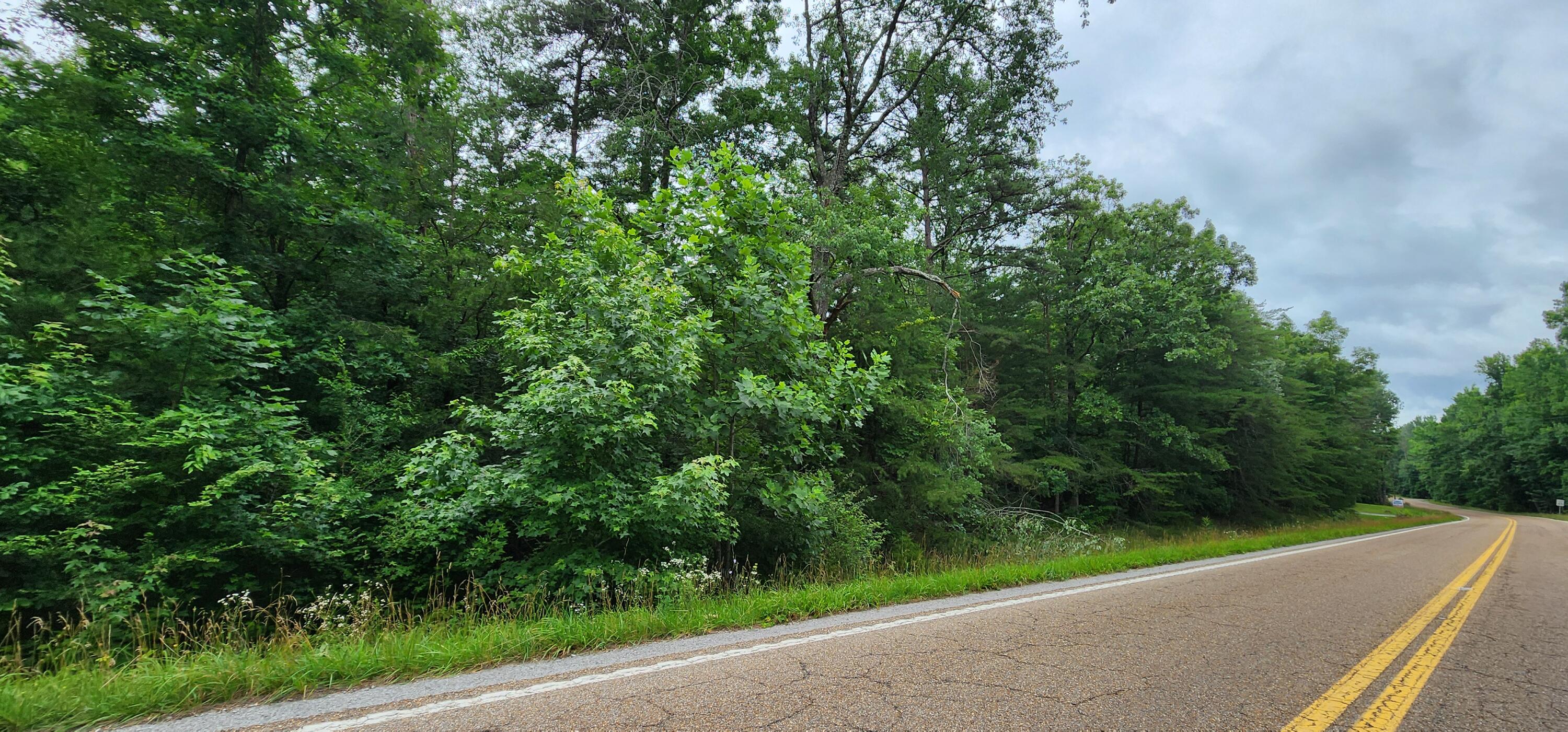 0 Sequatchie Mountain Road Sequatchie, TN 37374 - Photo 4 of 9 1000053941