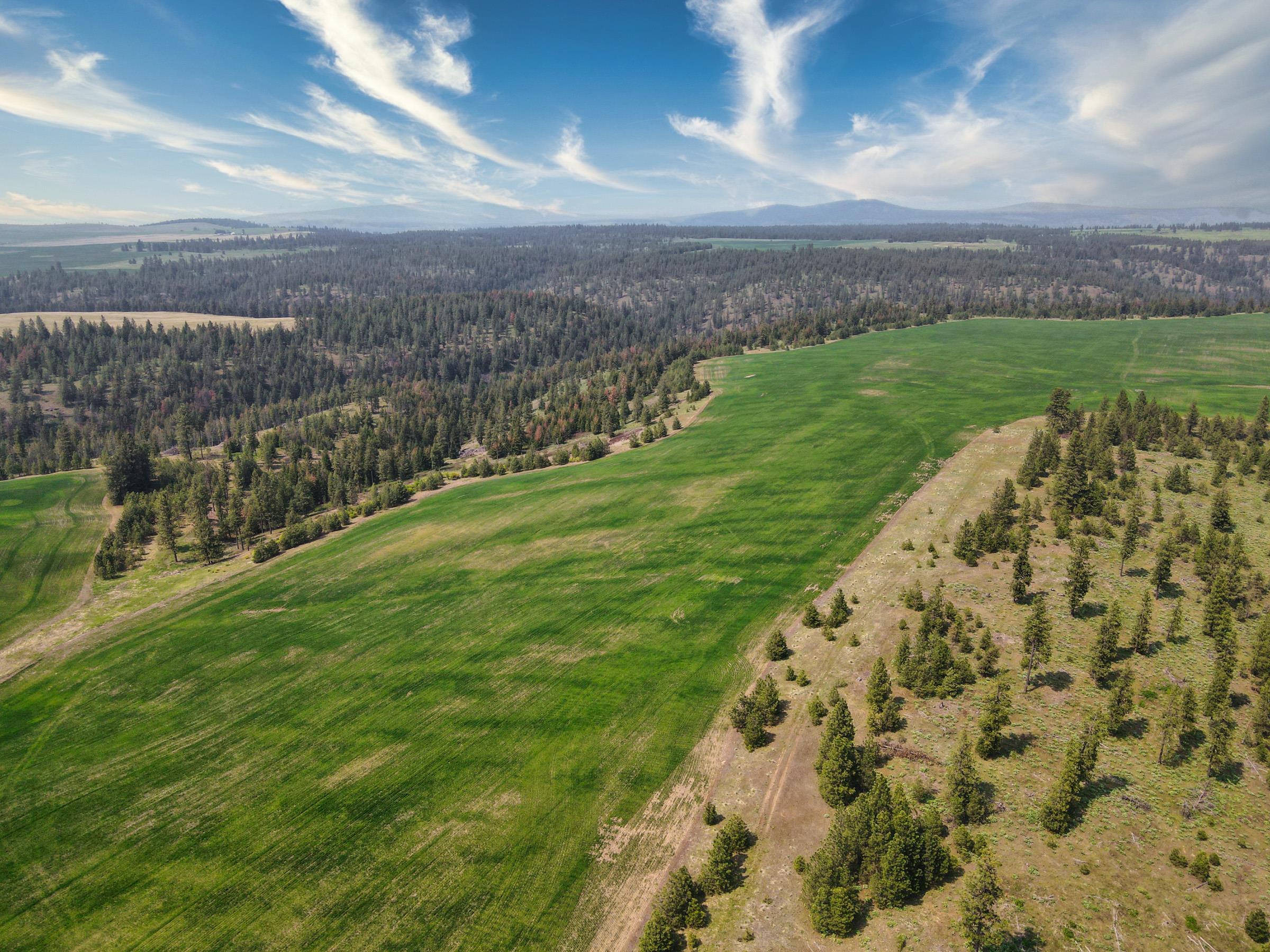 45-xxx Devore Road Davenport, WA 99122 - Photo 12 of 50