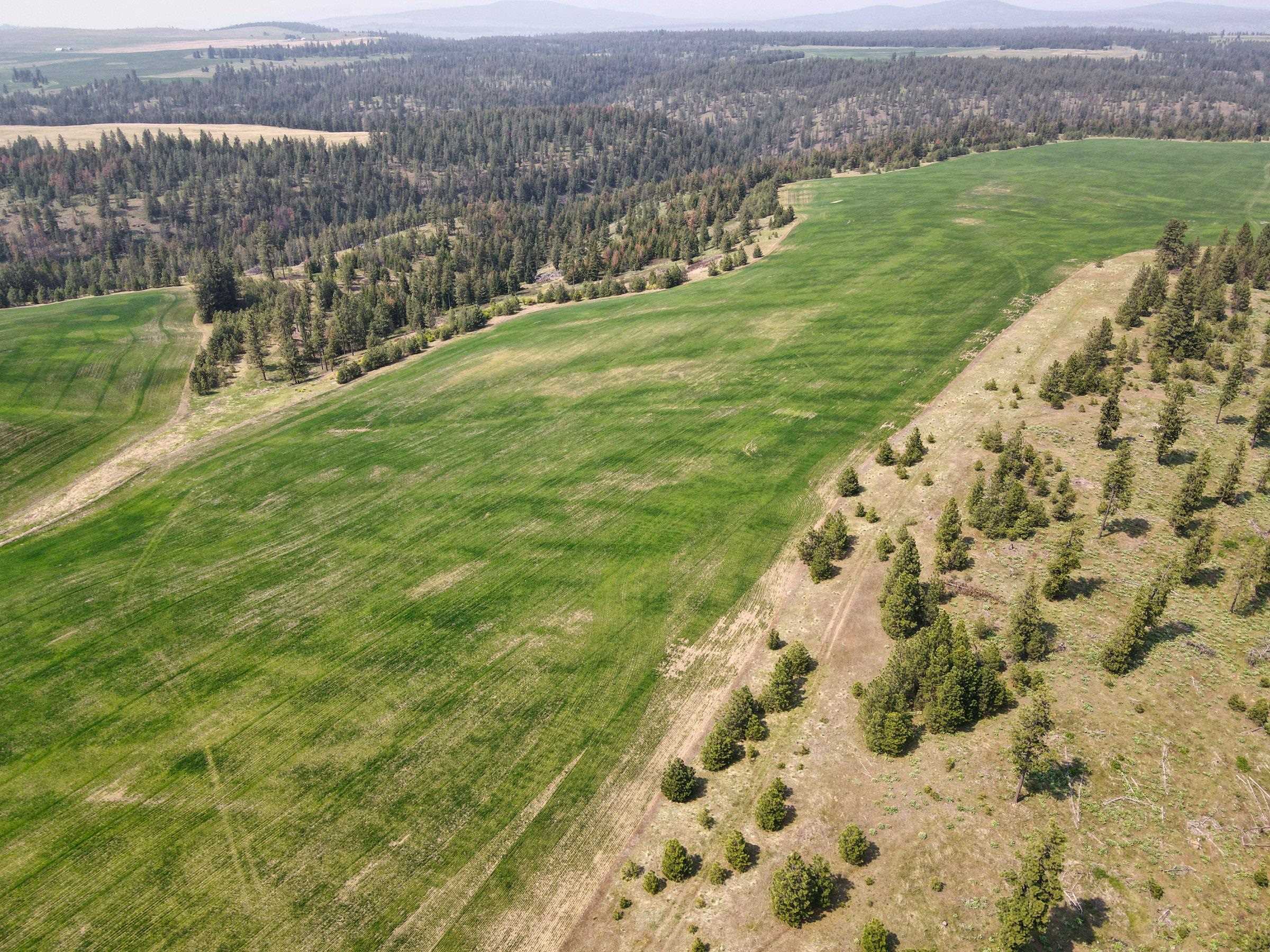 45-xxx Devore Road Davenport, WA 99122 - Photo 13 of 50