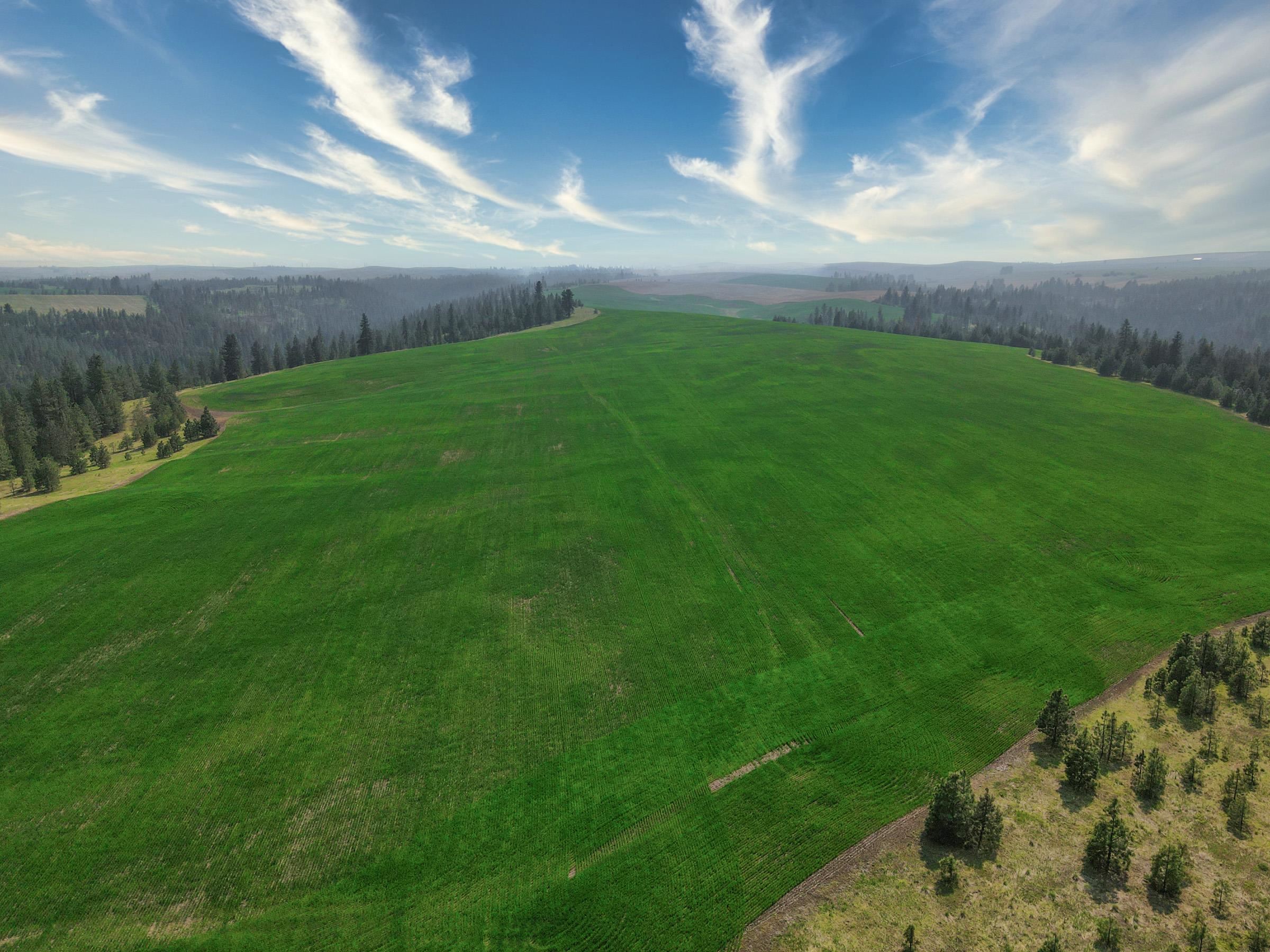 45-xxx Devore Road Davenport, WA 99122 - Photo 29 of 50