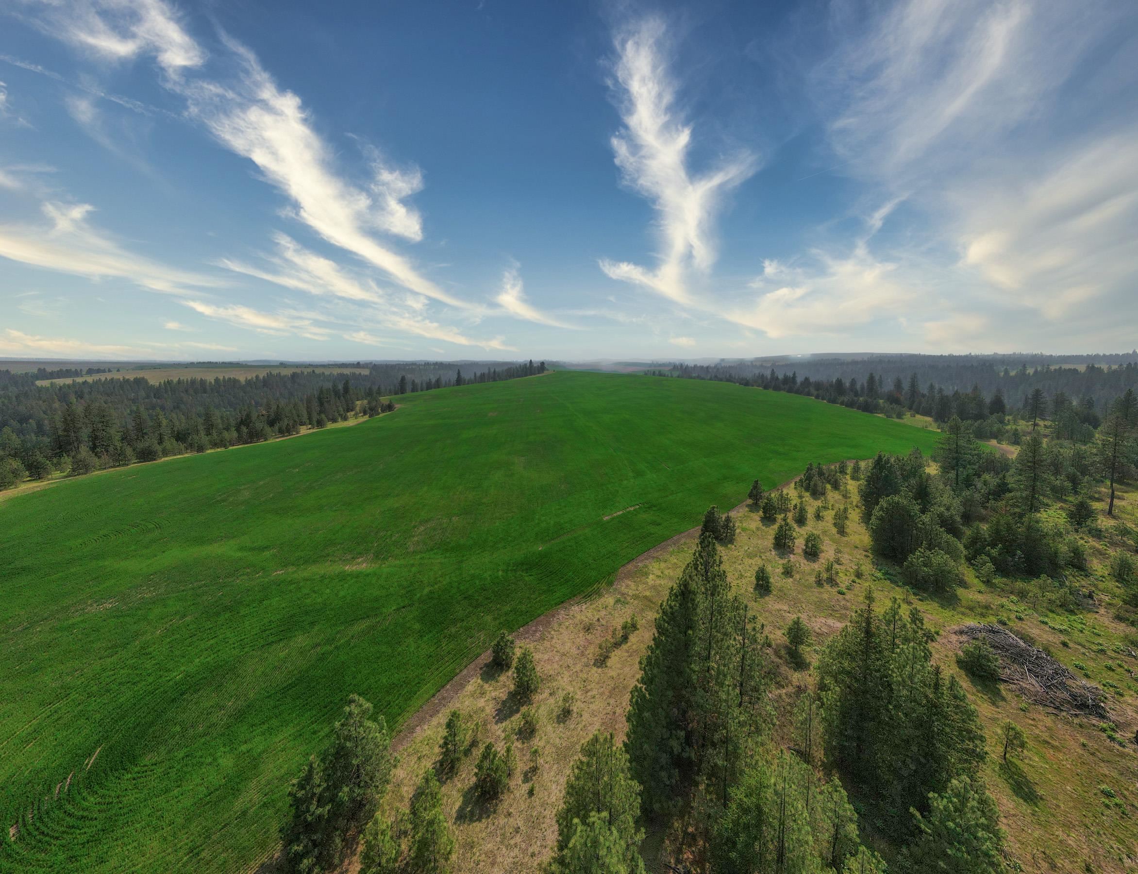 45-xxx Devore Road Davenport, WA 99122 - Photo 30 of 50