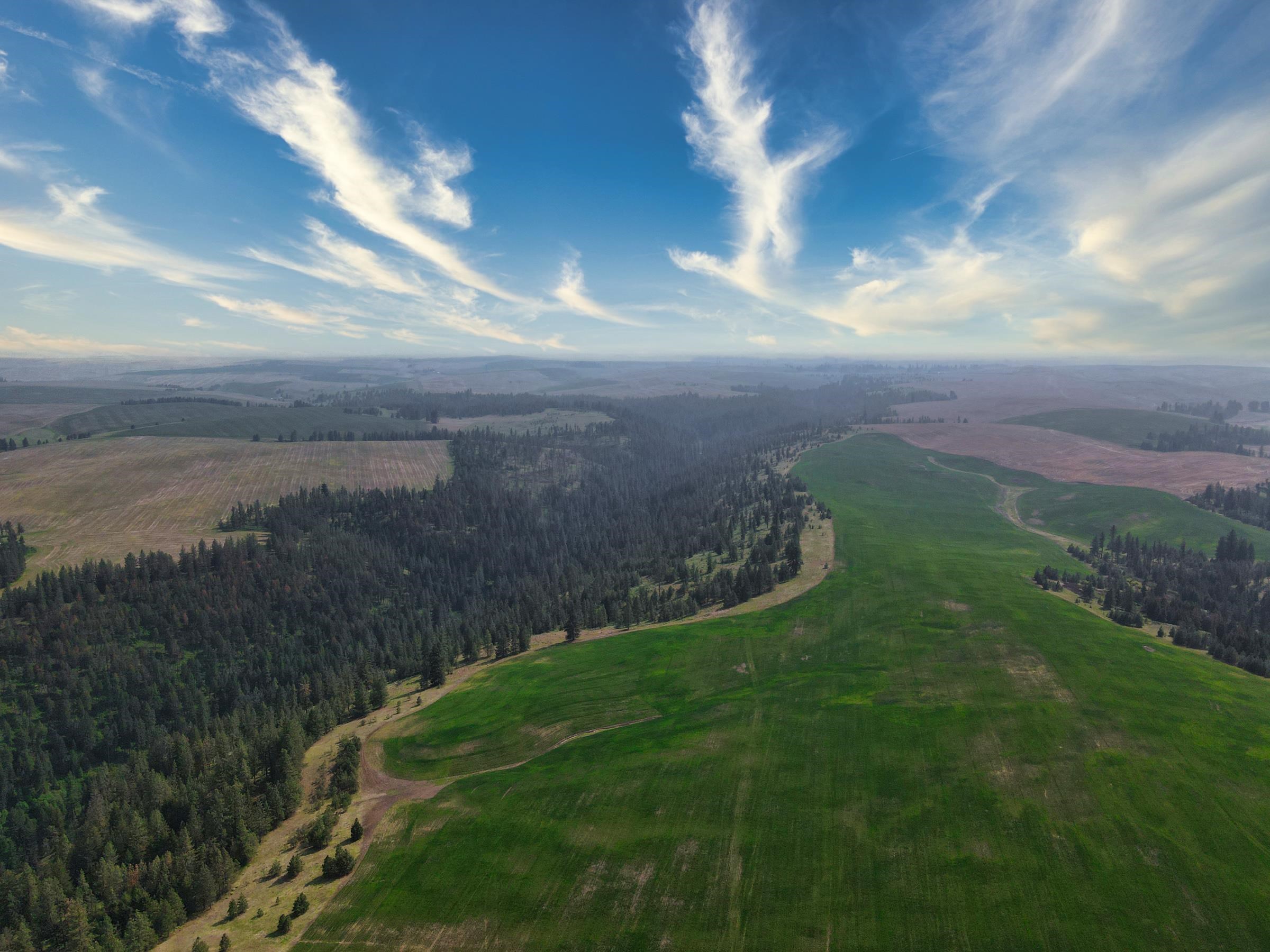 45-xxx Devore Road Davenport, WA 99122 - Photo 35 of 50