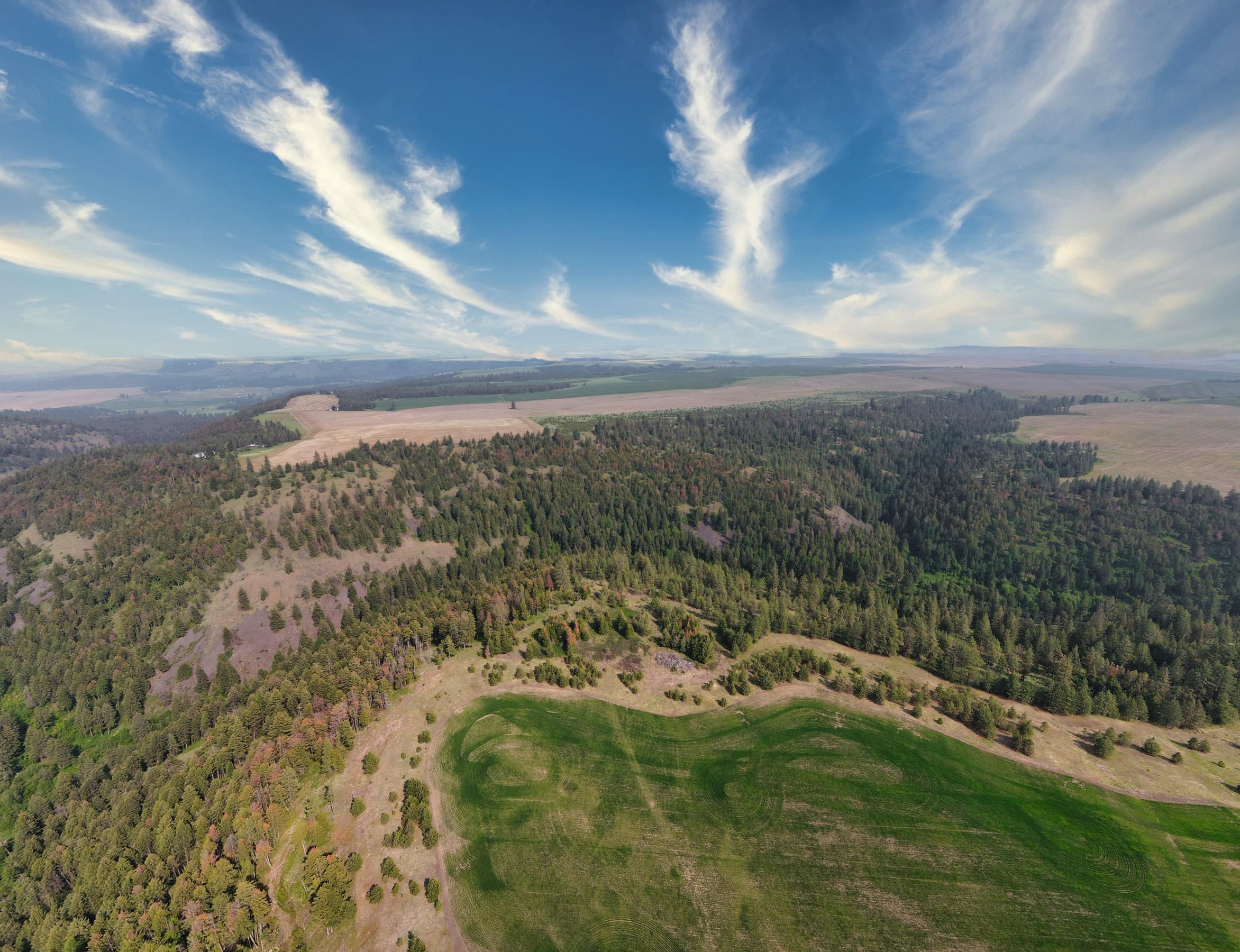 45-xxx Devore Road Davenport, WA 99122 - Photo 39 of 50