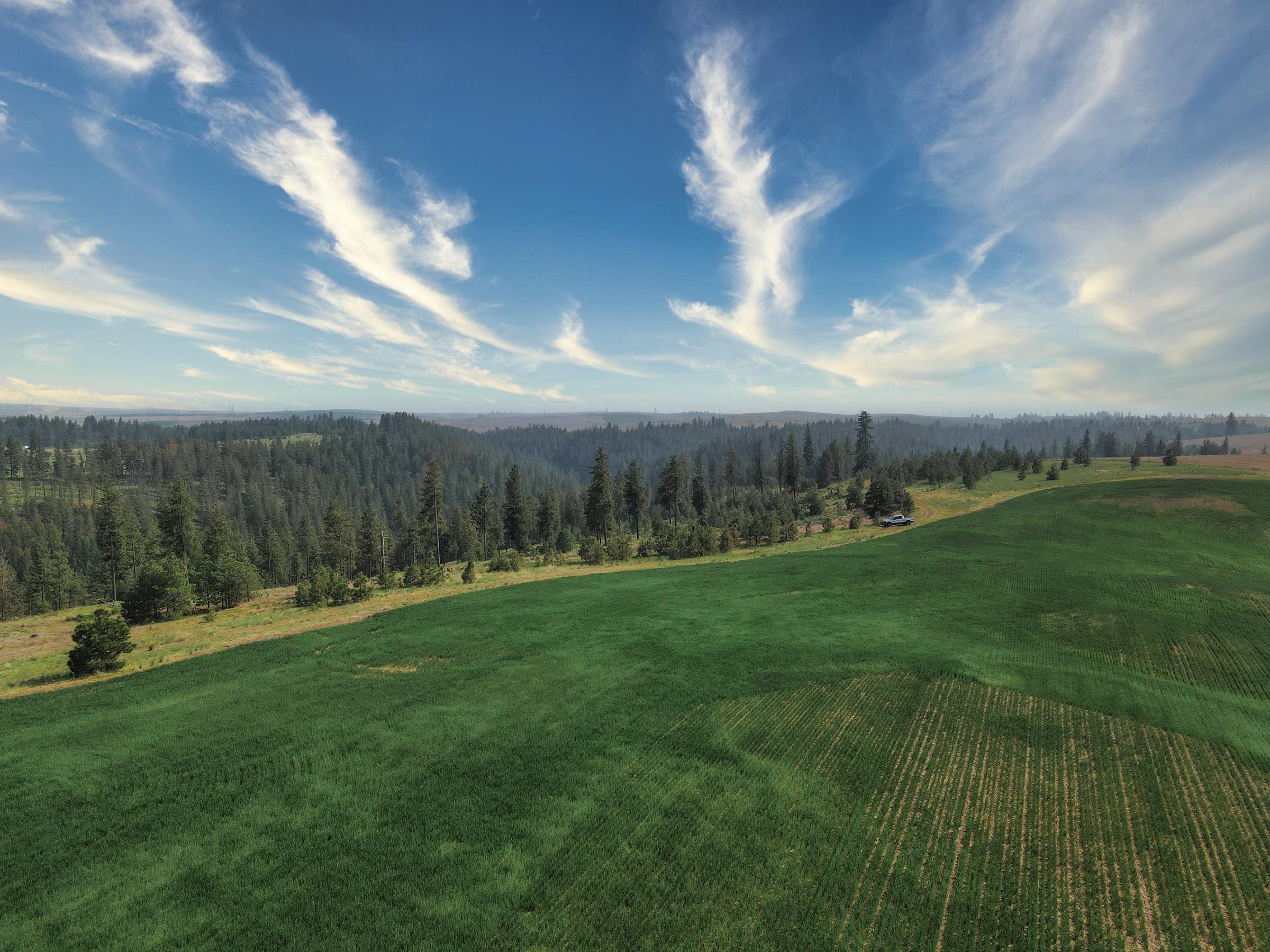 45-xxx Devore Road Davenport, WA 99122 - Photo 40 of 50