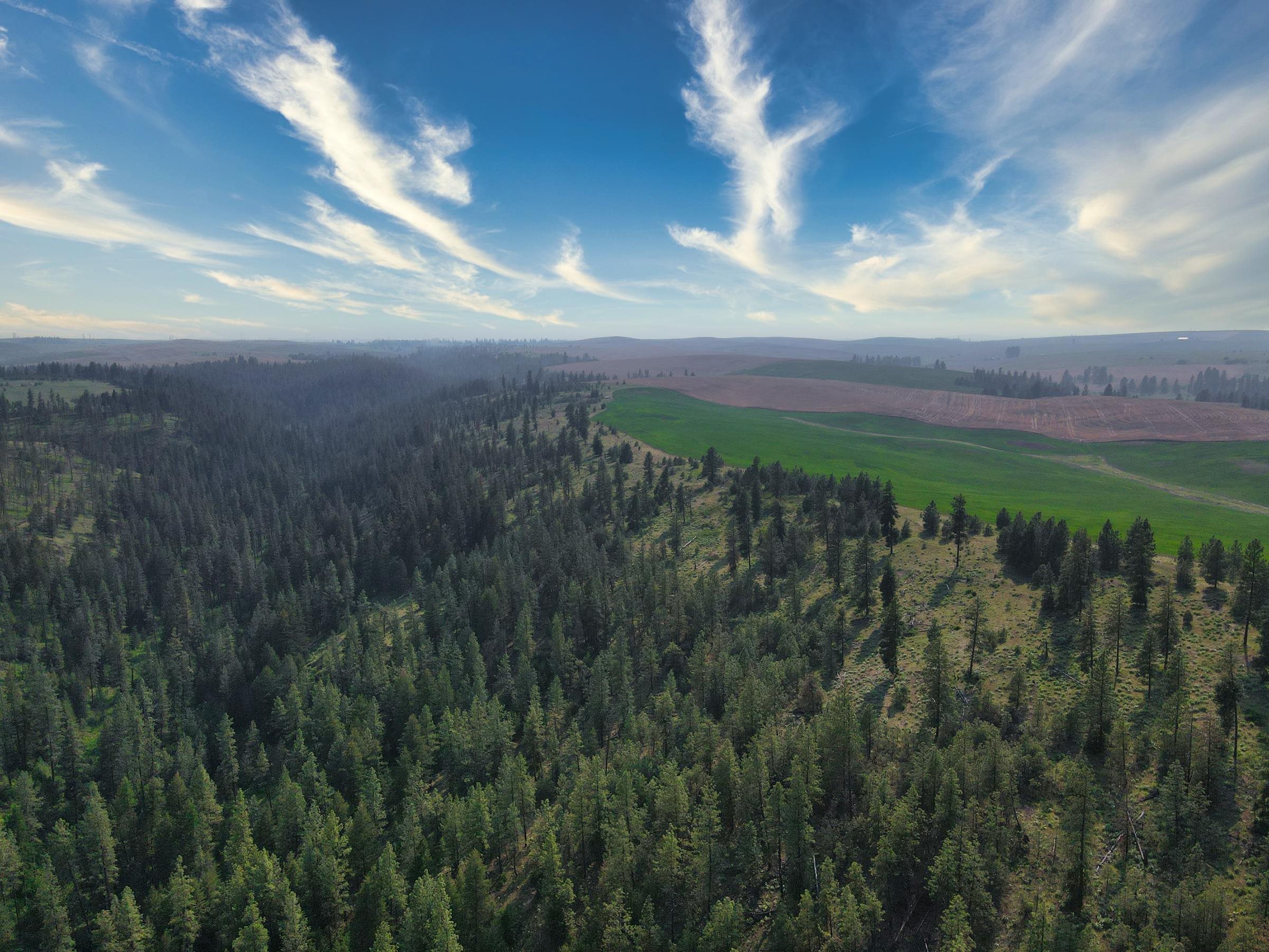 45-xxx Devore Road Davenport, WA 99122 - Photo 42 of 50