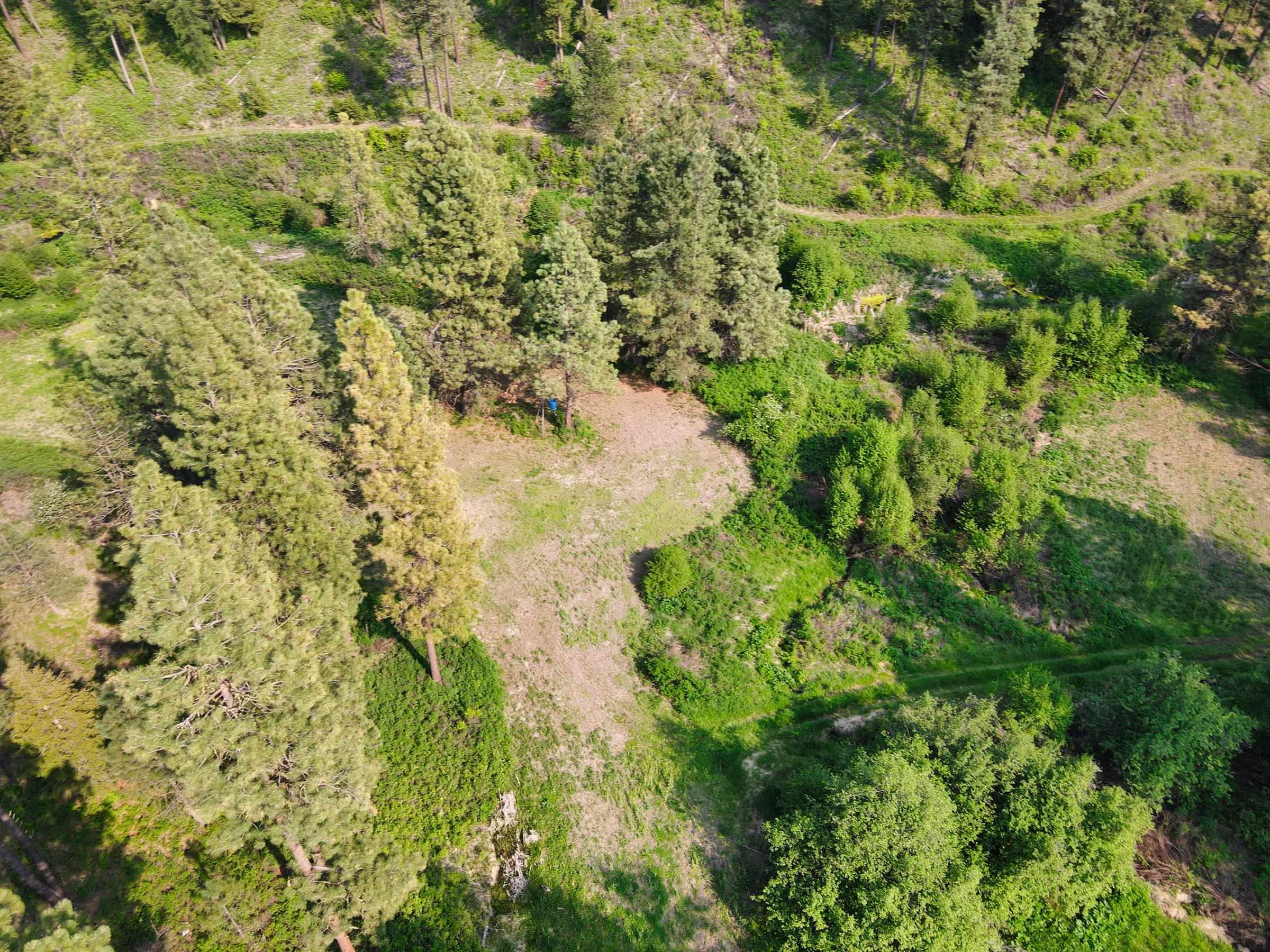 45-xxx Devore Road Davenport, WA 99122 - Photo 43 of 50