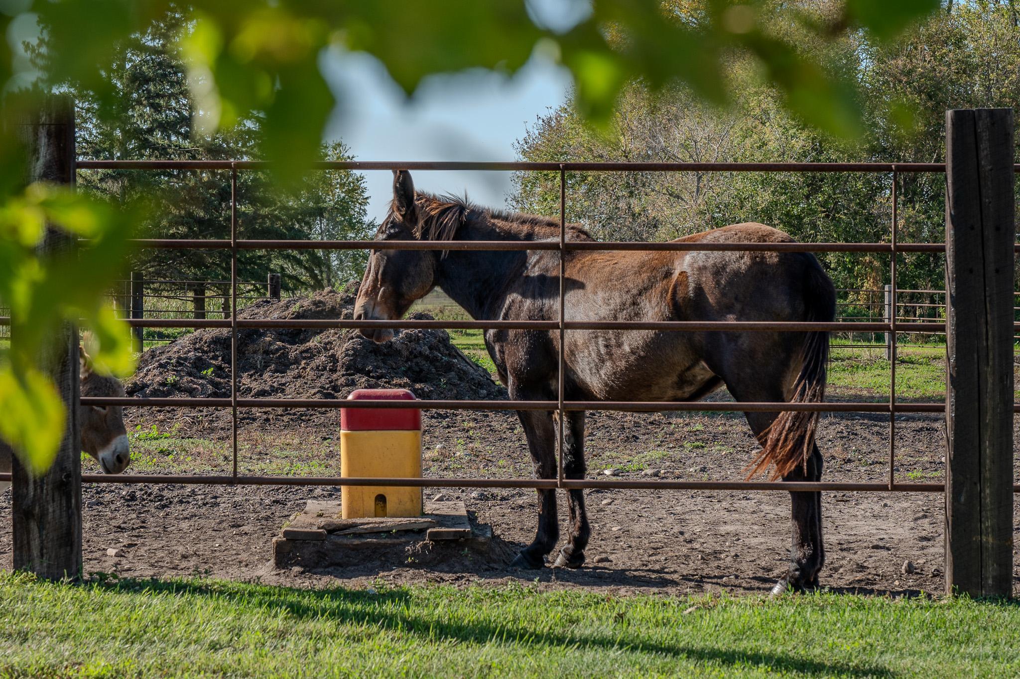 5445 157 Street South Glyndon, MN 56547 - Photo 17 of 68