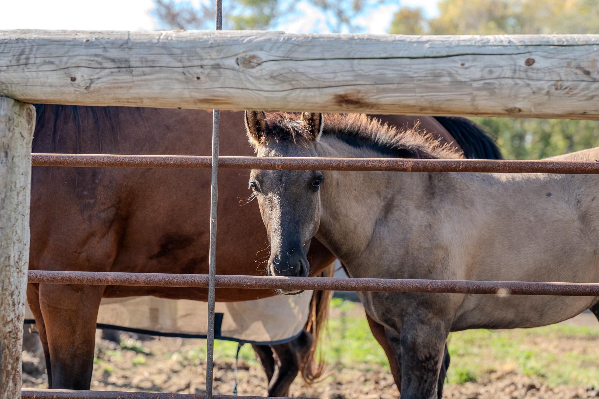 5445 157 Street South Glyndon, MN 56547 - Photo 8 of 68