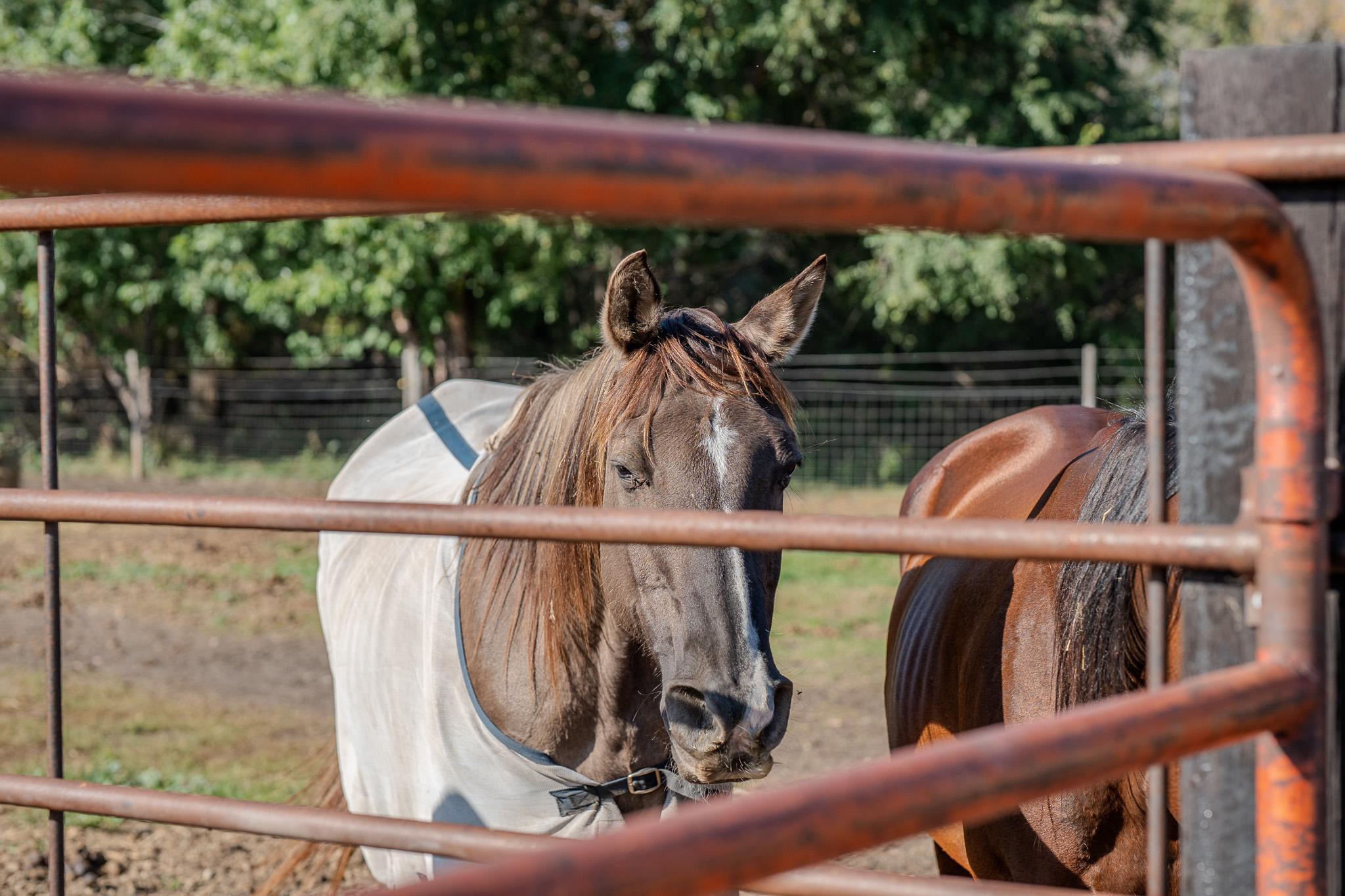 5445 157 Street South Glyndon, MN 56547 - Photo 9 of 68