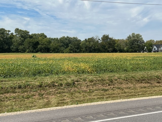 0 Wells Ferry Road Pleasant Valley, IA 52767 - Photo 2 of 5
