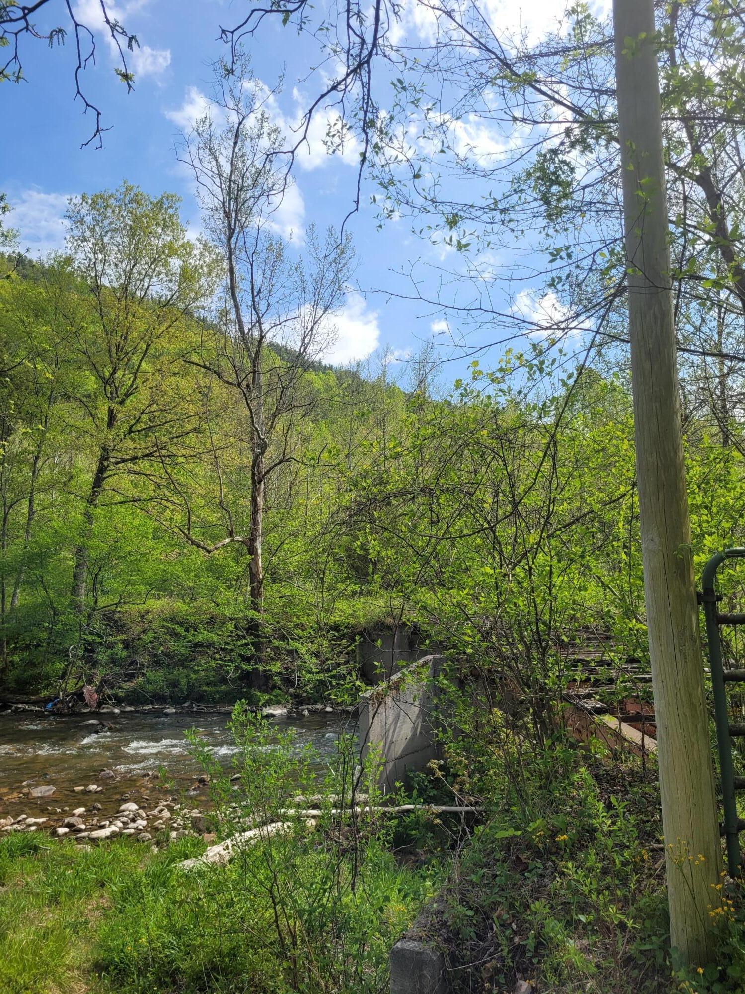 Tba Roan Creek Road Butler, TN 37640 - Photo 1 of 5 20220503_163115