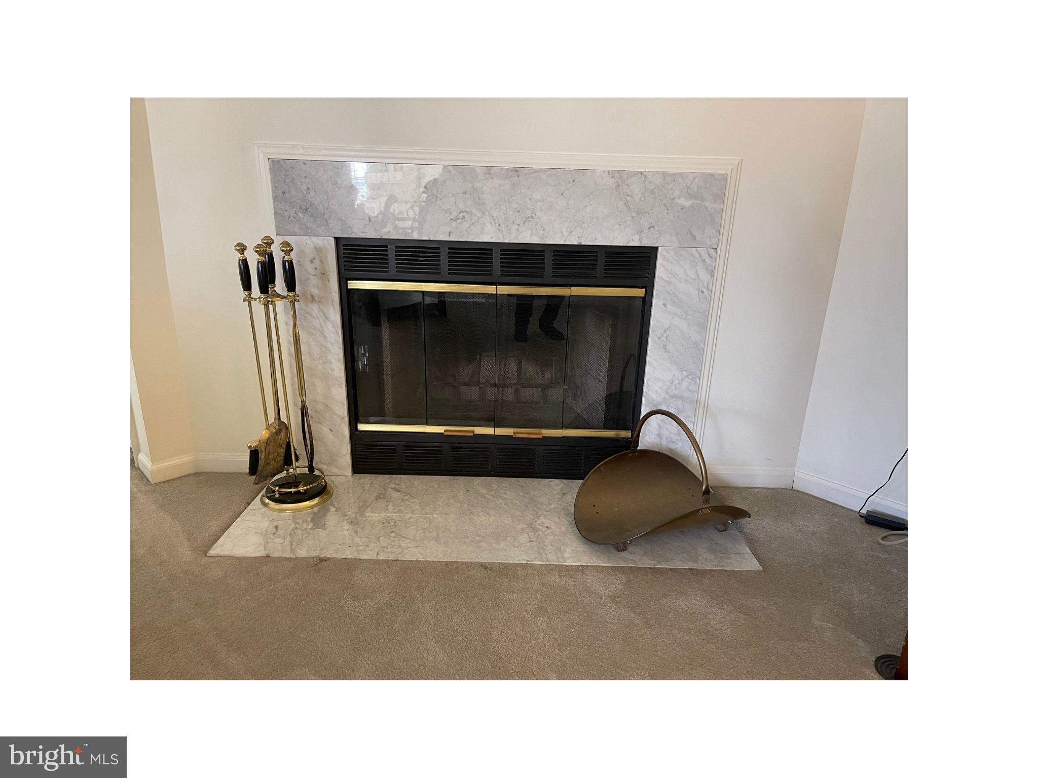 3103 Cardinal Way, Unit L Abingdon, MD 21009 - Photo 15 of 25 Fireplace