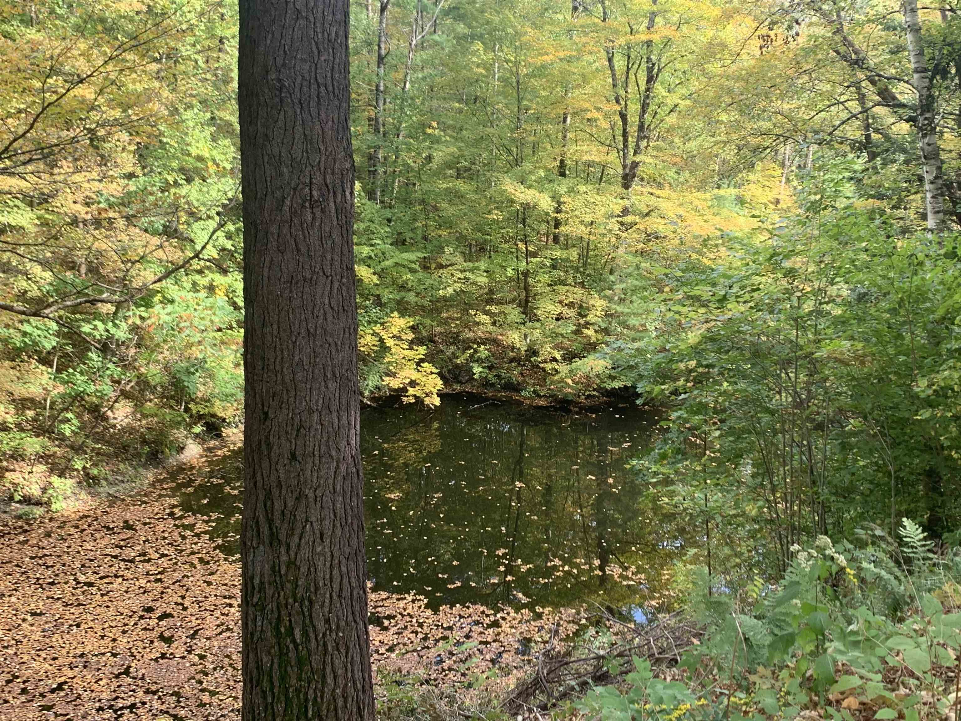 152 Pencil Mill Road Castleton, VT 05735 - Photo 5 of 24