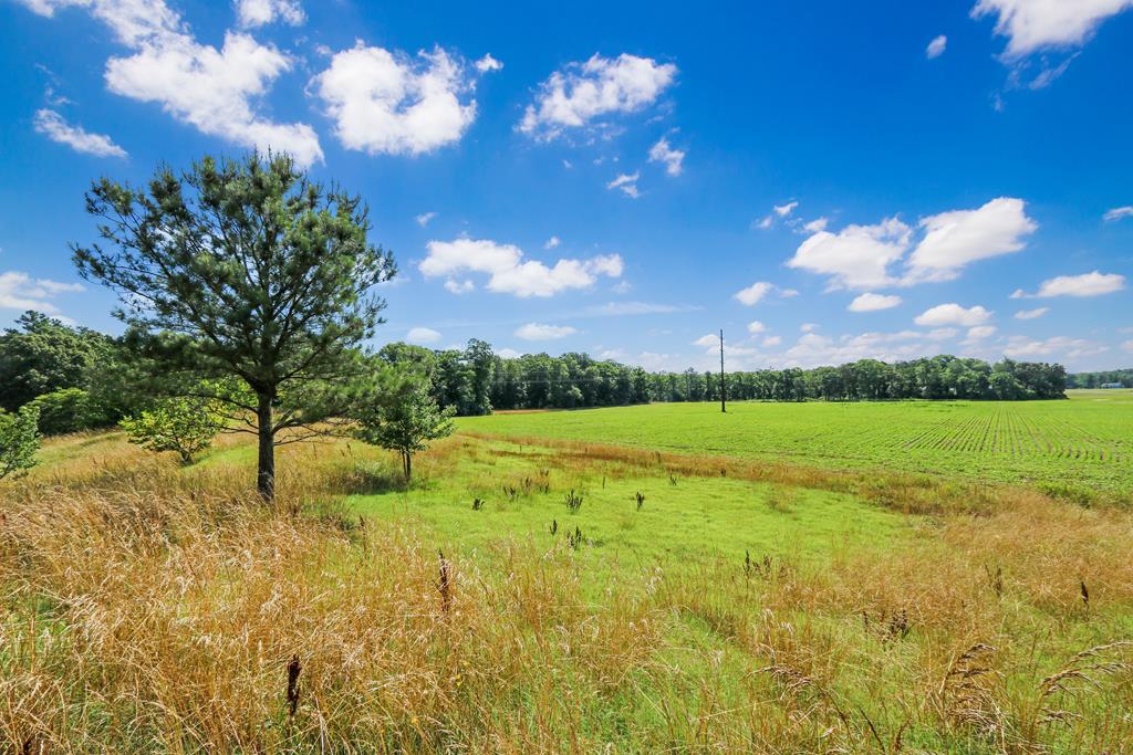 Lot 6 Fleming Road, Unit 6 Horntown, VA 23395 - Photo 1 of 26