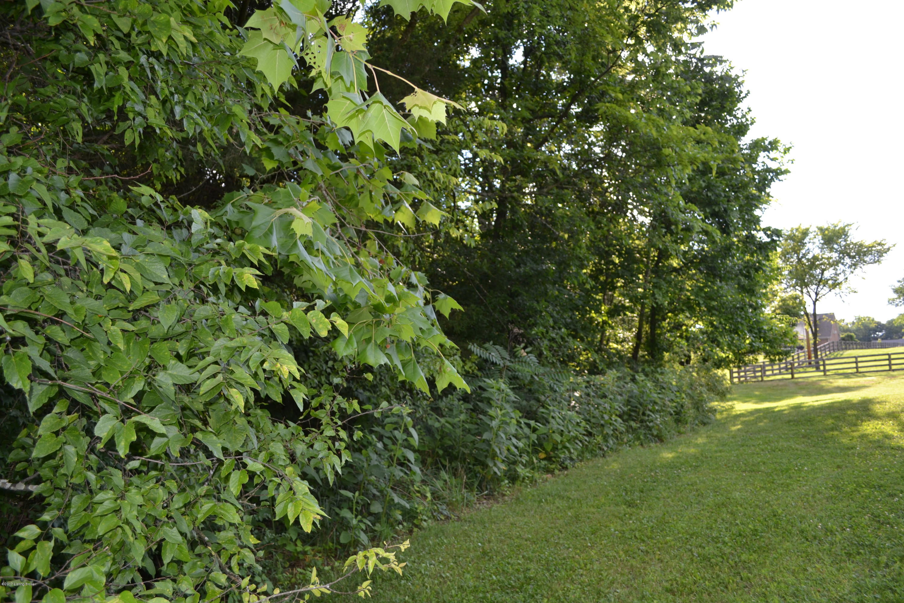 381 Twin Falls Road Mount Washington, KY 40047 - Photo 25 of 122 DSC_0025