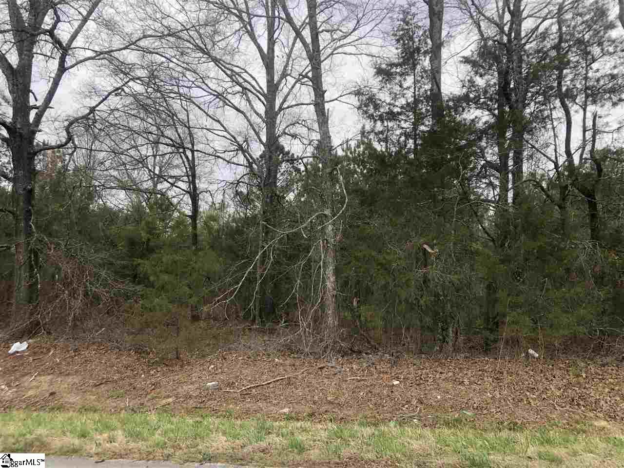Whitmire Highway Kinards, SC 29355 - Photo 2 of 7 Gallery Image 2