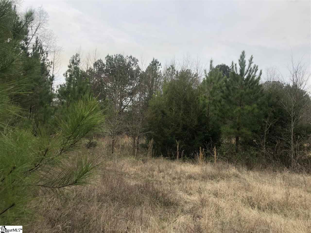 Whitmire Highway Kinards, SC 29355 - Photo 6 of 7 Gallery Image 6
