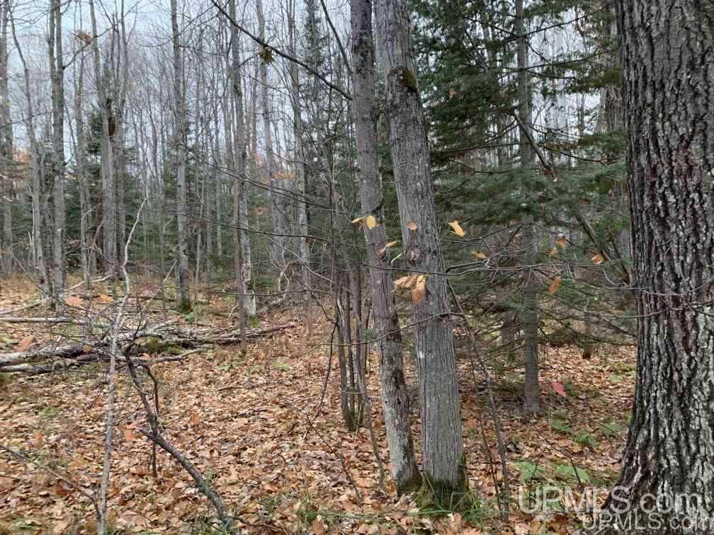 Tbd Ford Farm Road Lanse, MI 49946 - Photo 9 of 13