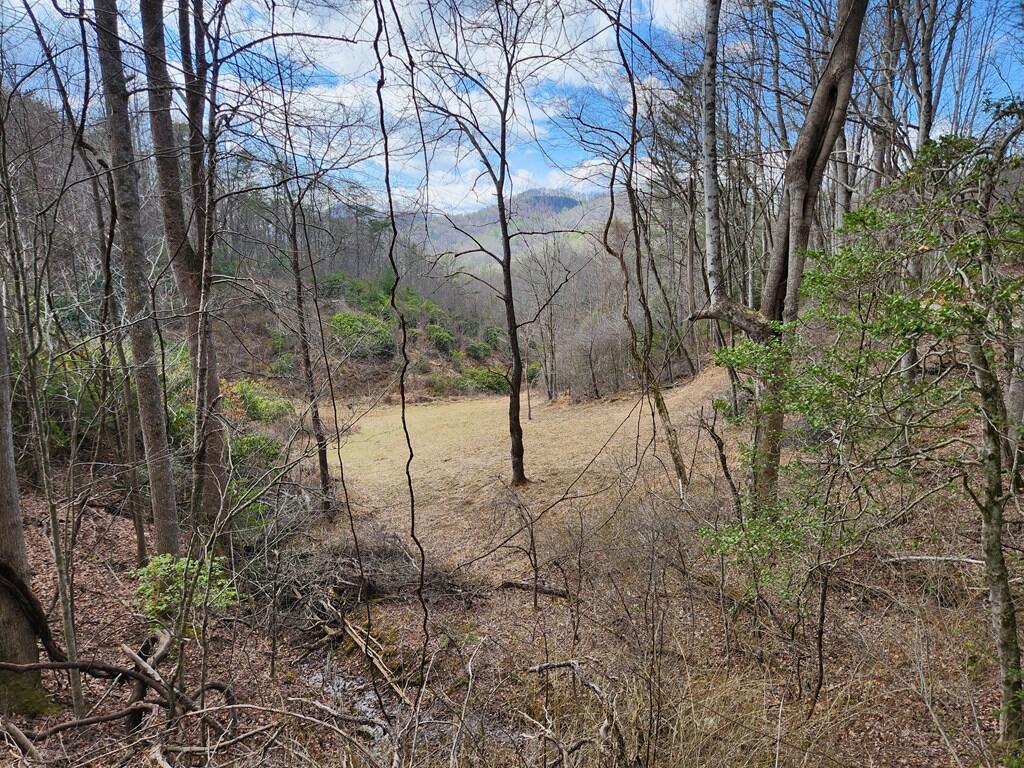 0 Camp Branch Road Topton, NC 28781 - Photo 31 of 41 Gallery Image 31