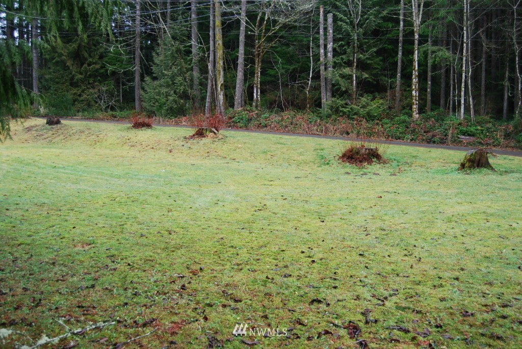 12954 Wallace Road Southeast Olalla, WA 98359 - Photo 14 of 24 Gallery Image 14