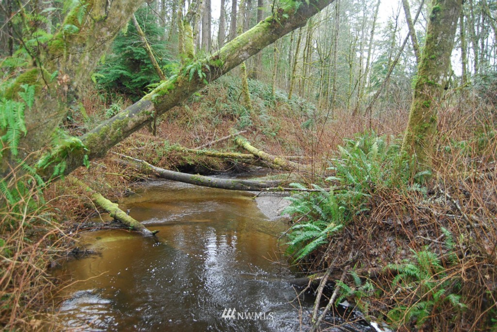12954 Wallace Road Southeast Olalla, WA 98359 - Photo 23 of 24 Gallery Image 23