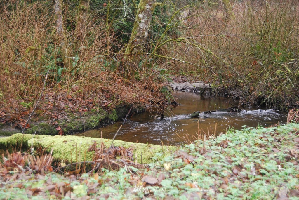12954 Wallace Road Southeast Olalla, WA 98359 - Photo 24 of 24 Gallery Image 24