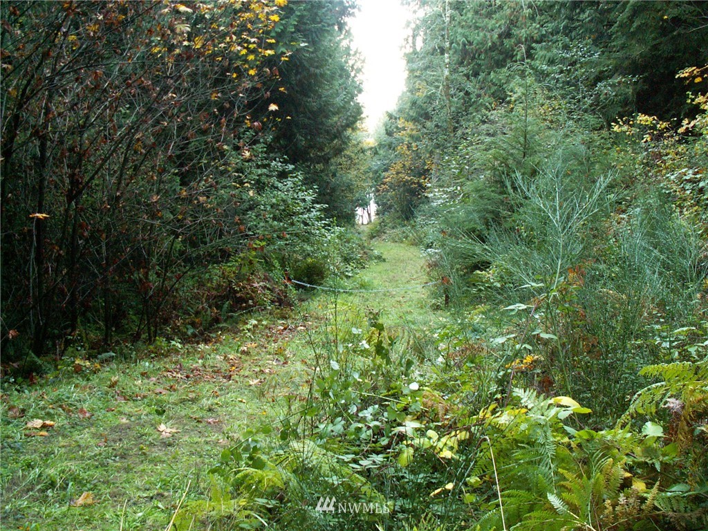 7-8 East Benson Loop Road Shelton, WA 98584 - Photo 10 of 11 Gallery Image 10