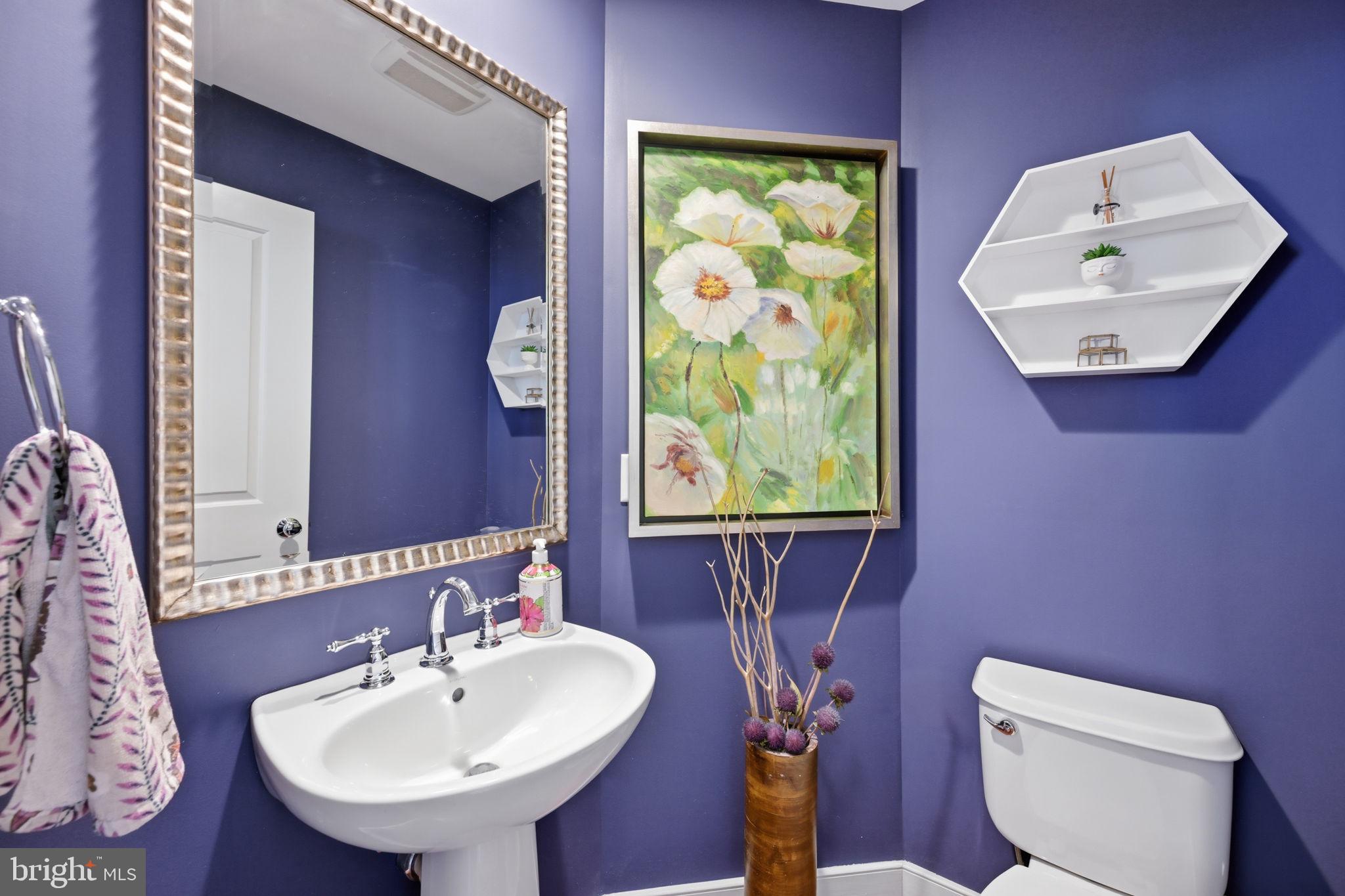 909 3rd Place Southeast Washington, DC 20003 - Photo 5 of 41 Convenient and Chic Main-Level Powder room