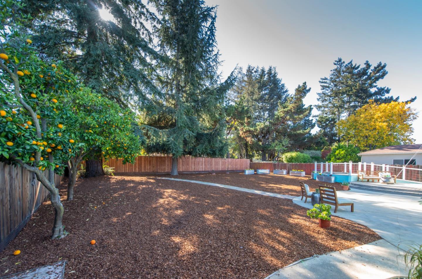 82 Loucks Avenue Los Altos, CA 94022 - Photo 21 of 23 a view of street with trees