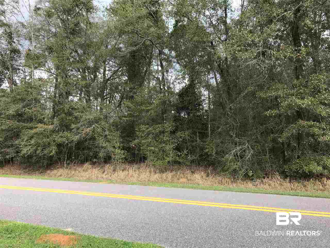 0 Howells Ferry Road Wilmer, AL 36587 - Photo 4 of 6