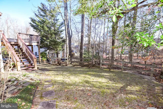 a view of a yard with a large tree