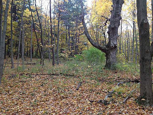 10151 Southwest Lookout Road Lancaster, OH 43130 - Photo 12 of 12