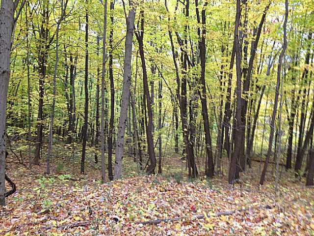 10151 Southwest Lookout Road Lancaster, OH 43130 - Photo 7 of 12