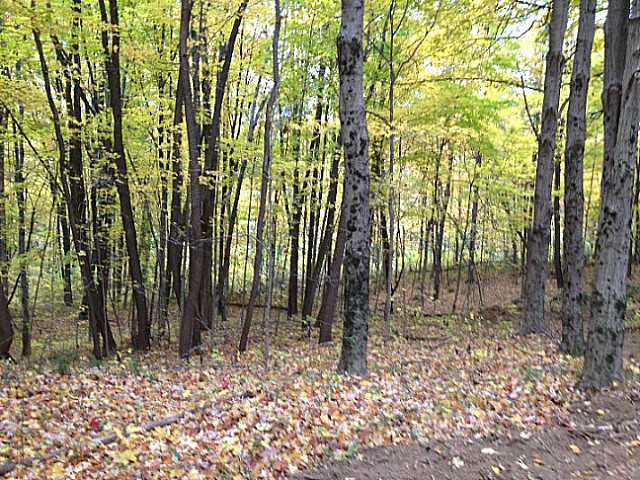 10151 Southwest Lookout Road Lancaster, OH 43130 - Photo 8 of 12