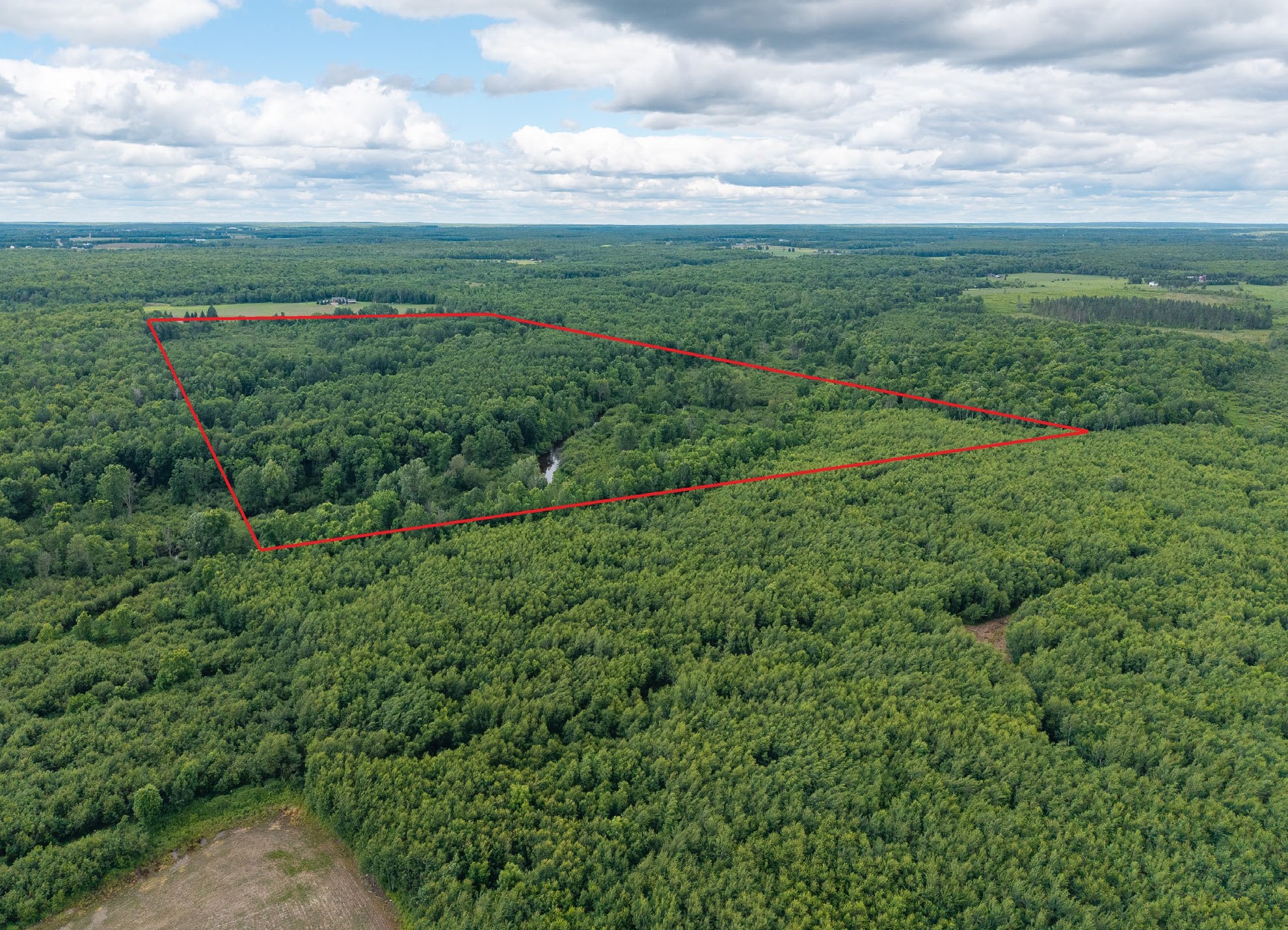 0 Walrath Road Glen Flora, WI 54526 - Photo 4 of 6