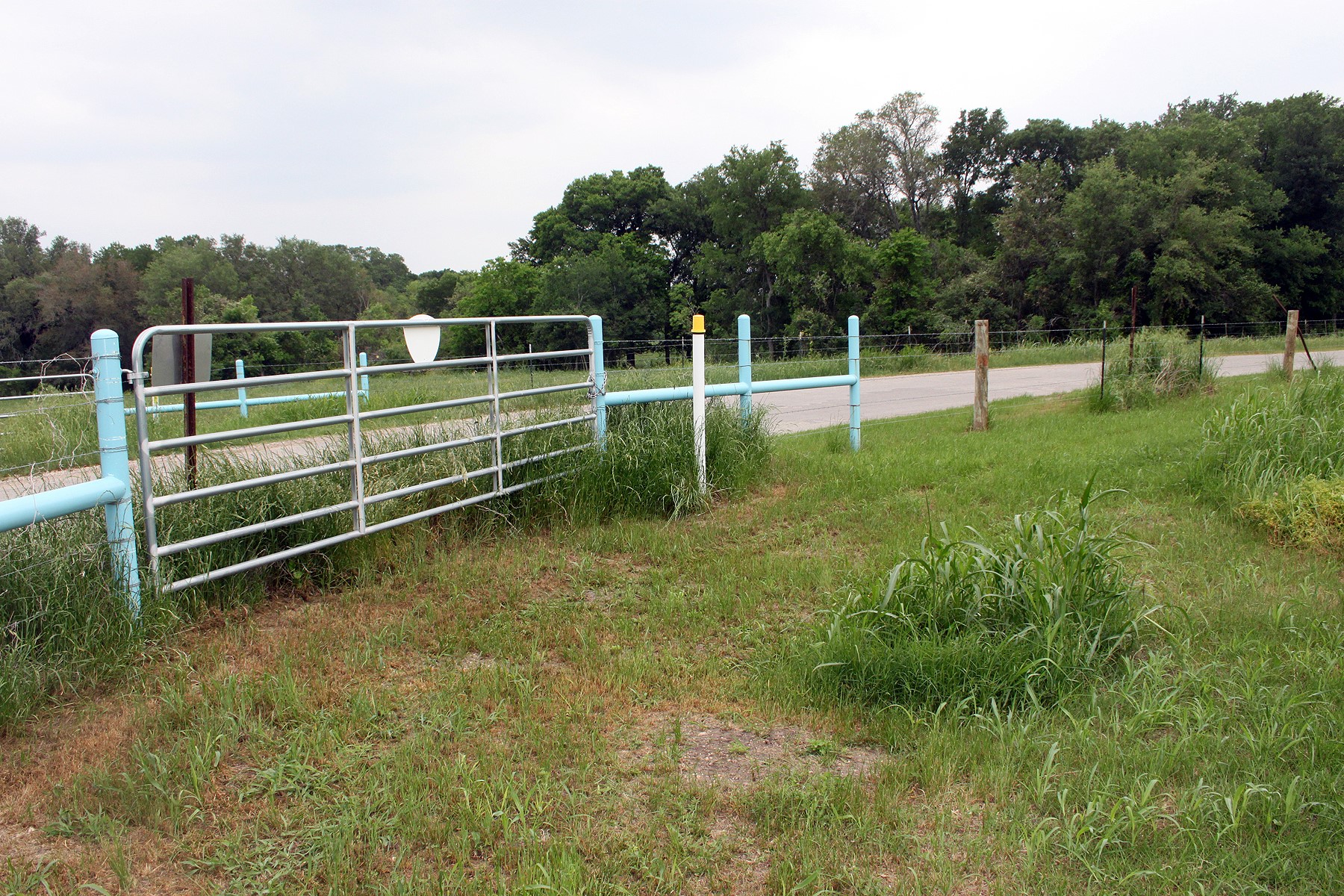 0 Brushy Branch Road Lockhart, TX 78644 - Photo 17 of 19 A secured entrance gate opens to verdant grounds, promising tranquility and seclusion.