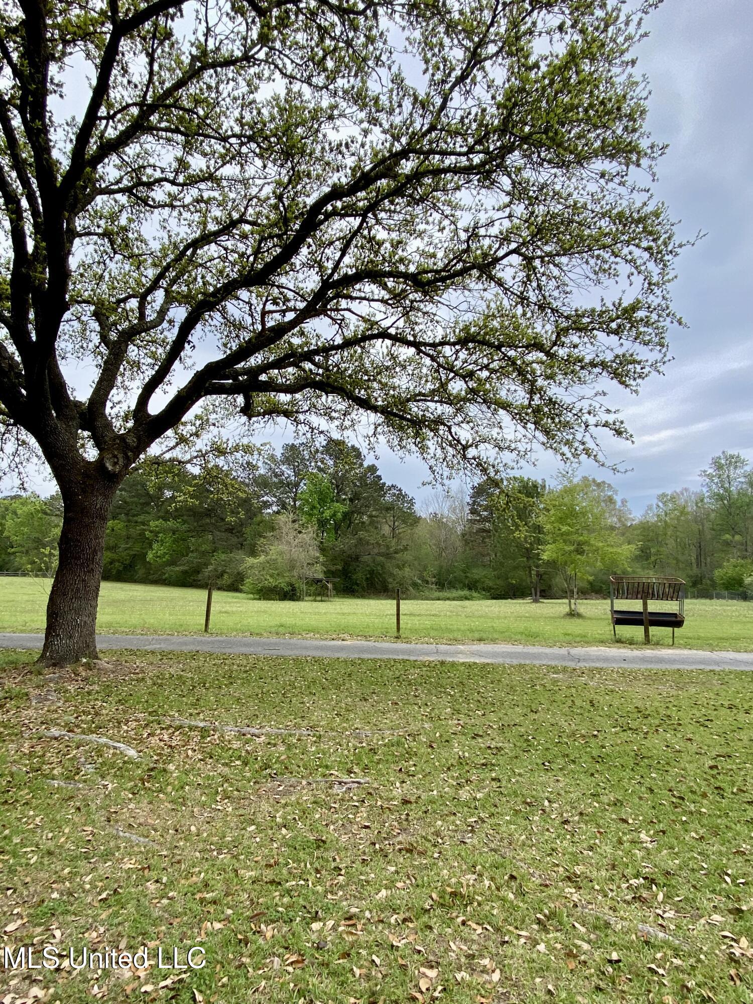 299 Quitman Perry Road Carriere, MS 39426 - Photo 63 of 79 60, Pasture, IMG_2829