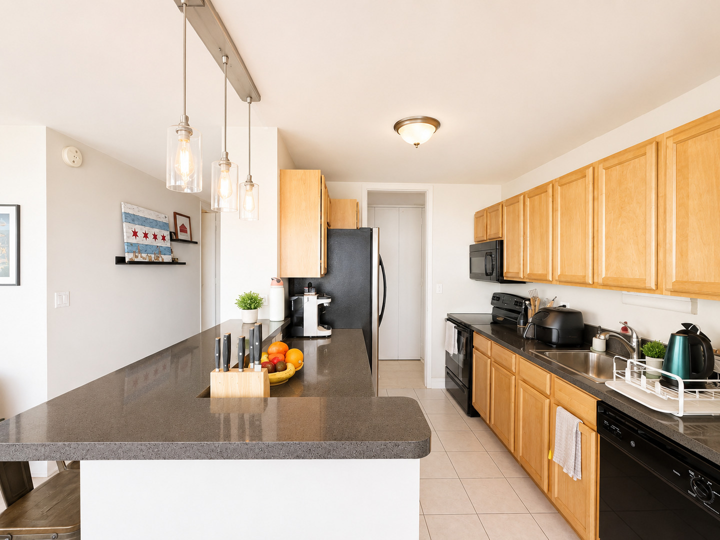 655 West Irving Park Road, Unit 3201 Chicago, IL 60613 - Photo 10 of 23